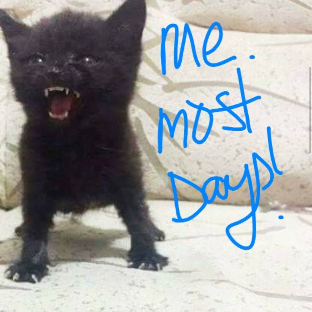 Meet your Posher, Kim